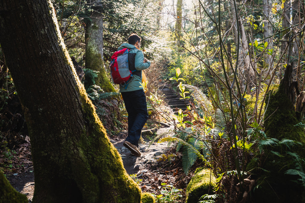 Man hiking through woods