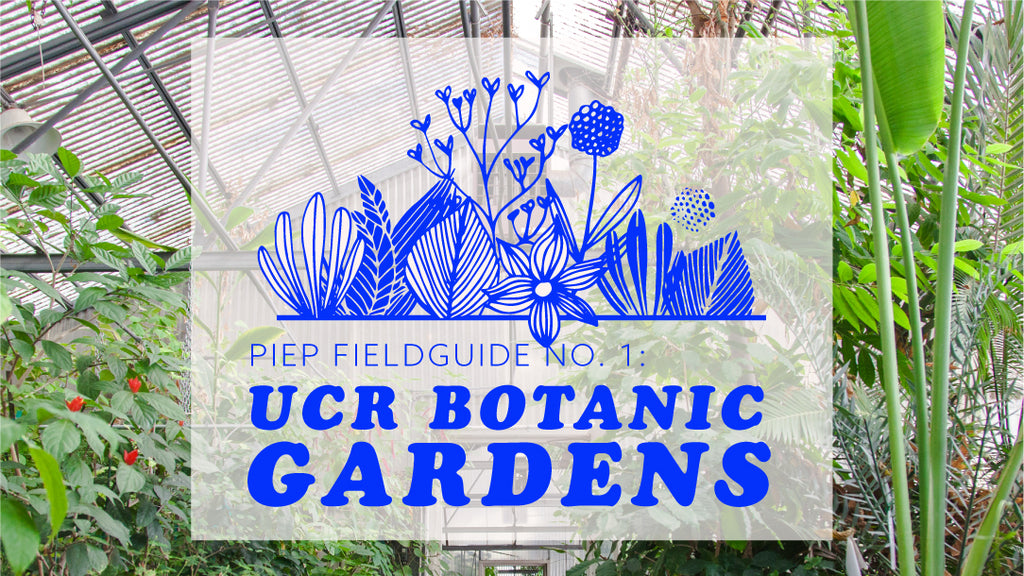 Piep Fieldguide No 1 Ucr Botanic Gardens Piep