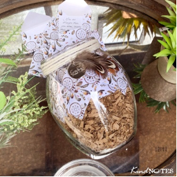  Dreamcatcher Jar of Notes