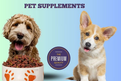 Vitamins and Supplements for Pet