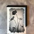 Brushed Blooms - 2x Large Art prints, Peonies & Poppies