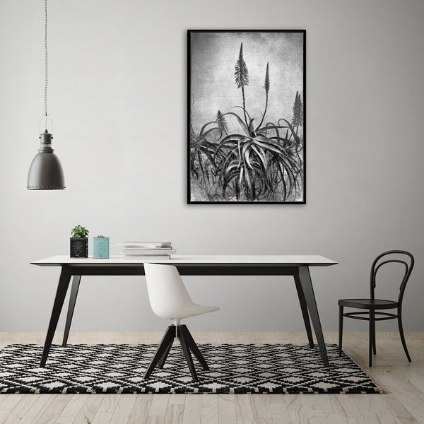 Aloe Grunge - 60x90cm Art print