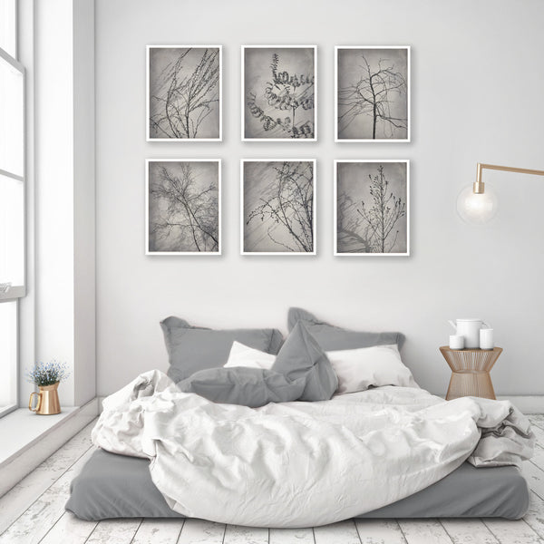 Shadowplay Gallery Wall - 6x Art prints