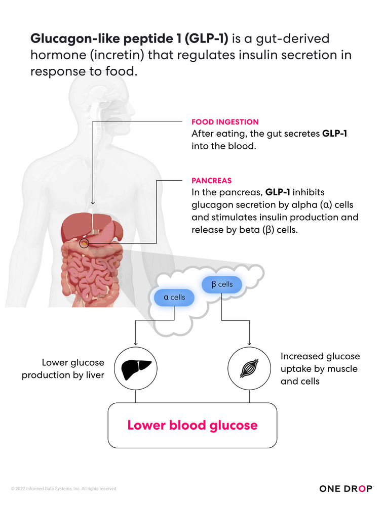 GLP-1 diagram | How GLP-1 works in the body | One Drop for diabetes