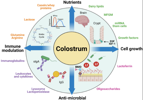 https://www.mdpi.com/nutrients/nutrients-13-02551/article_deploy/html/images/nutrients-13-02551-g002.png