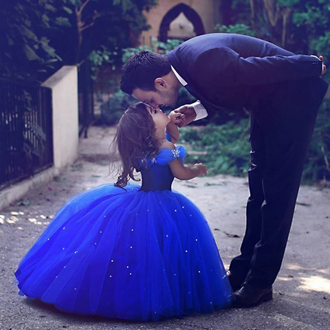 Dark Blue Princess Ball Gown