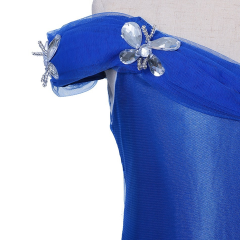 Dark Blue Princess Ball Gown