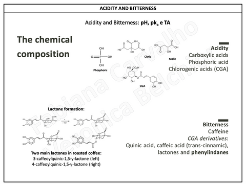 Source: Online course from The Coffee Sensorium. Veronica Beltchor and Fabiana Carvalho