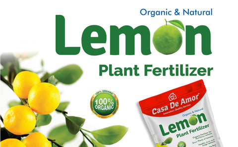 lemon plant fertilizer