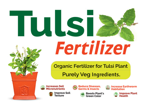 tulsi fertilizer