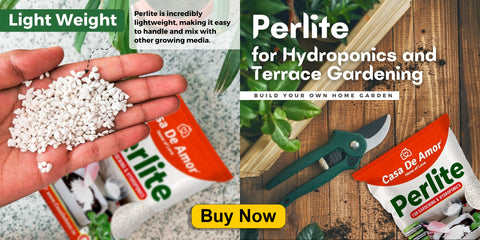 perlite for gardening and hydroponics