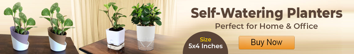Banner Alt Text