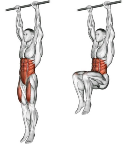hanging knee raises for abs