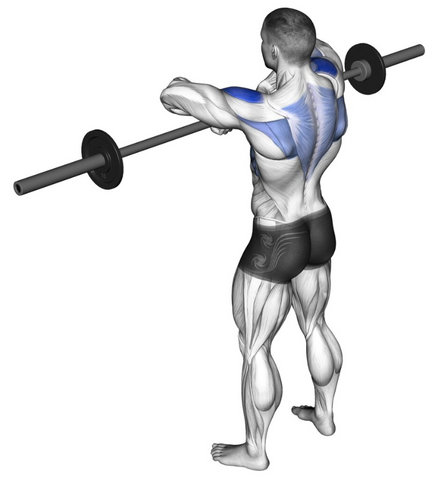 Upright rows for big shoulders