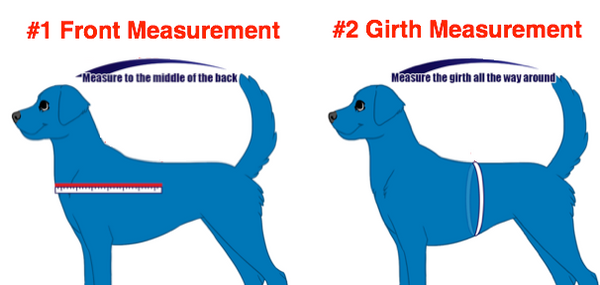 How Do You Measure For A Dog Harness