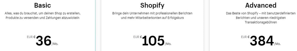 Shopify - Kosten