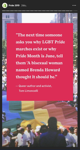 Instagram Story der Pride Parade Toronto 2019