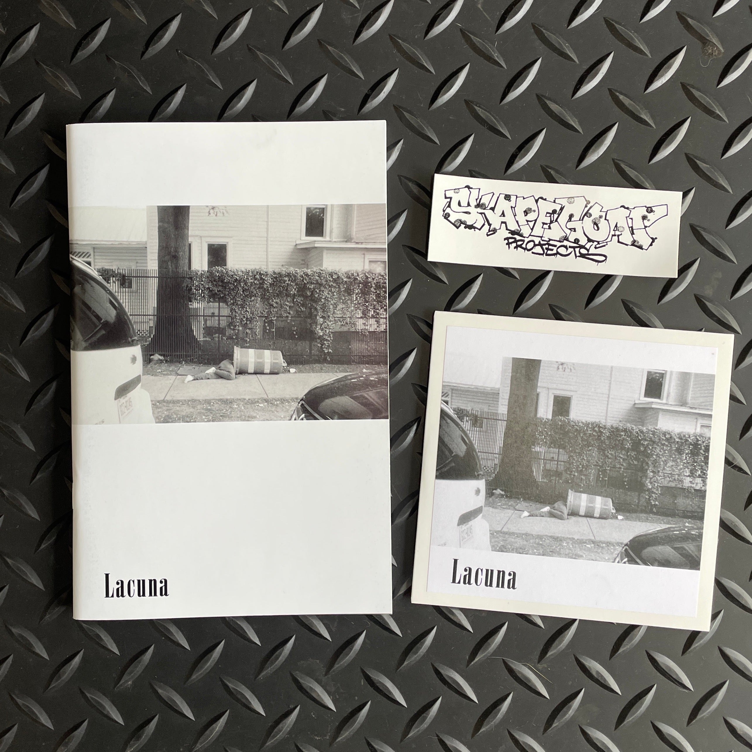 Skapegoat Projects "Lacuna"