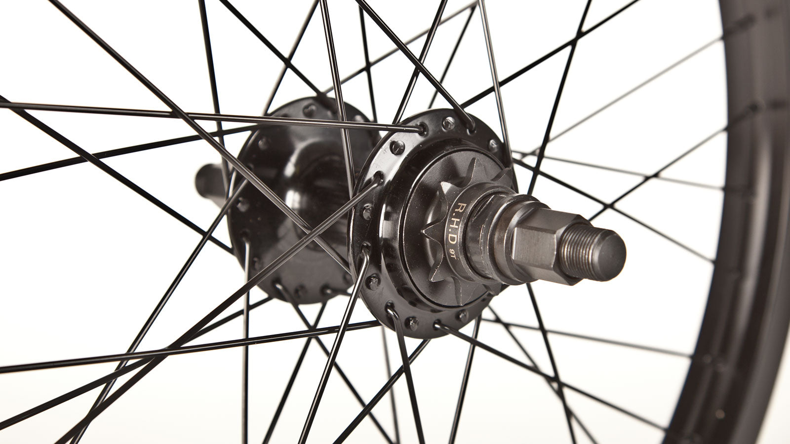 rear cassette