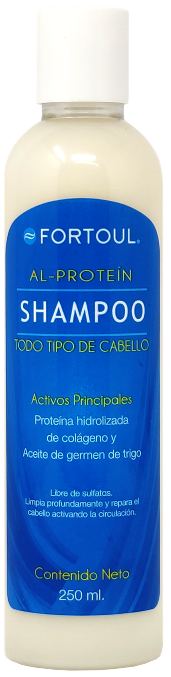 2022 shampoo al protein.png__PID:e415756a-ccd2-460c-81da-ddcffdd472c1