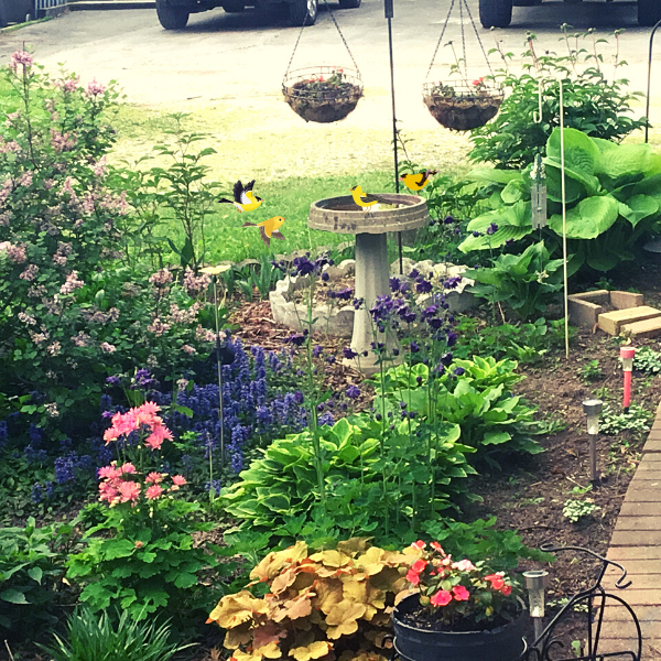 garden bird bath