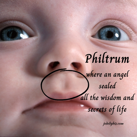 Philtrum