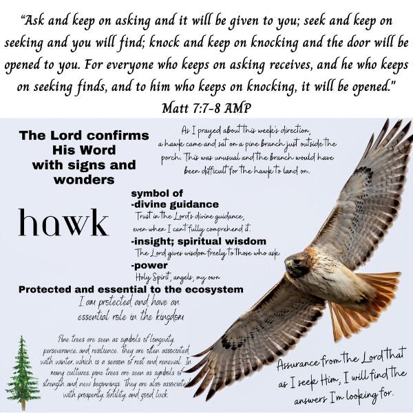 Hawk meaning