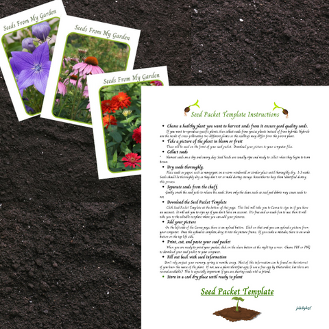 Seed Packet Template