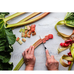 cutting rhubarb