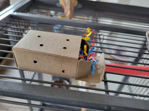 Foraging box for parrots