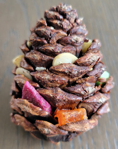 Pinecone Forager