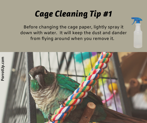 Parrot Cleaning Tip 1