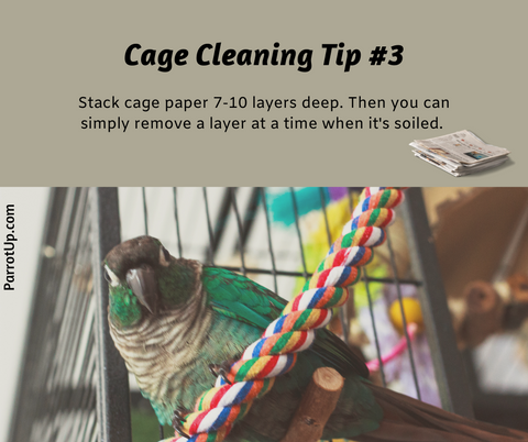 Parrot Cleaning Tip 3