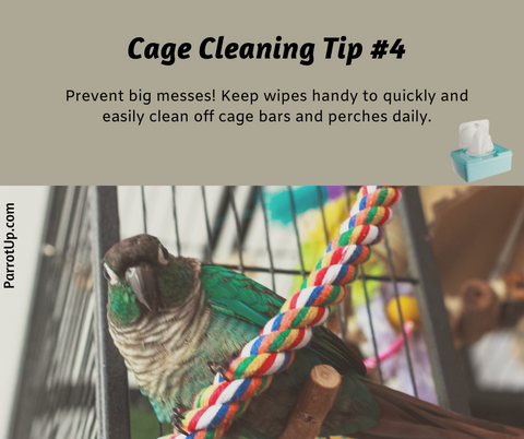 Parrot Cleaning Tip 4