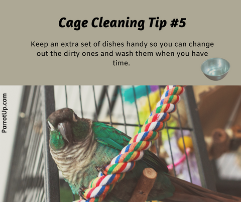 Parrot Cleaning Tip 5