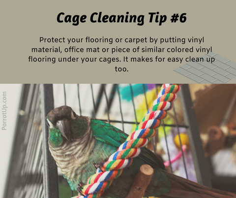 Parrot Cleaning Tip 6