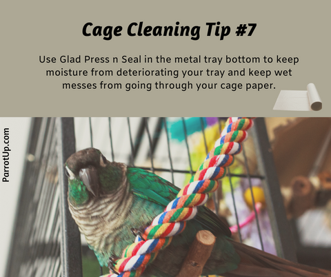 Parrot Cleaning Tip 7