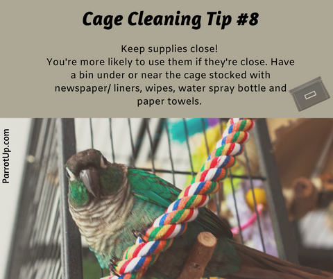 Parrot Cleaning Tip 8
