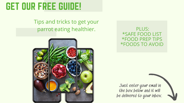 graphic showing you how to subscribe and get our free guide to a picky parrot