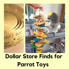 Dollar Store finds for parrot toys