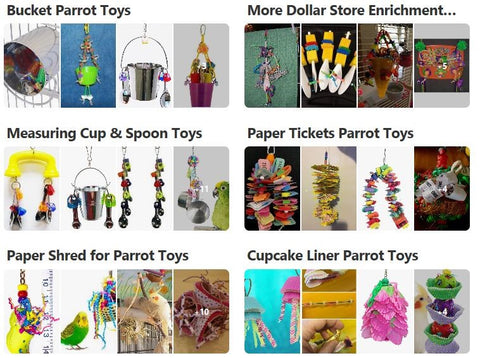 Parrots, Parrot Toys, Parrot Enrichment, Dollar Store Finds for Parrot Toys