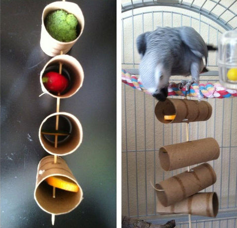 DIY Parrot Toys You Can Make at Home
