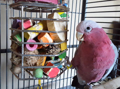 Stuff household items into treat cages