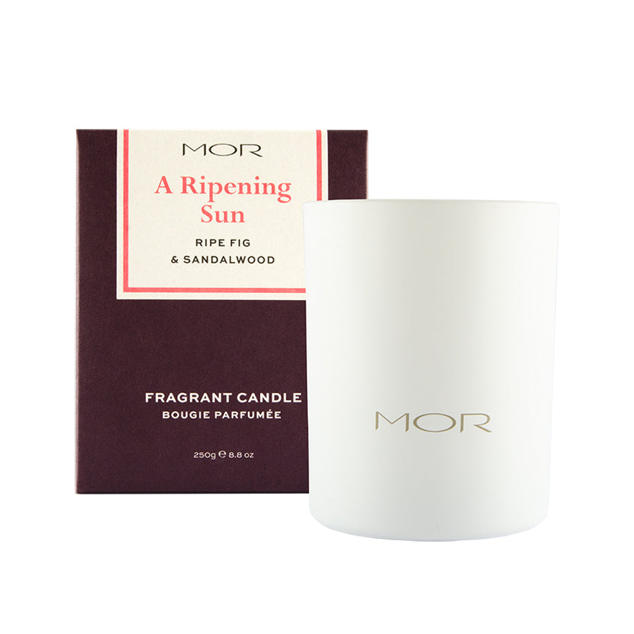 MOR Scented Home Library A Ripening Sun Fragrant Candle 250g