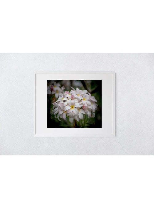 Butterfly in the Wind Home Bridal Blooms Art Print (5 x 7) sungkyulgapa