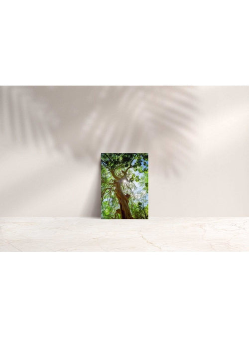 Butterfly in the Wind Home Stand Proud Note Card sungkyulgapa