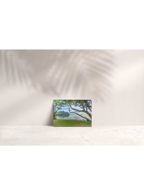 Butterfly in the Wind Home Waiahole Sunrise Note Card sungkyulgapa