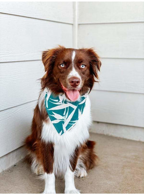 Ports + Paws Pet Dog Bandana in Green Paradise sungkyulgapa