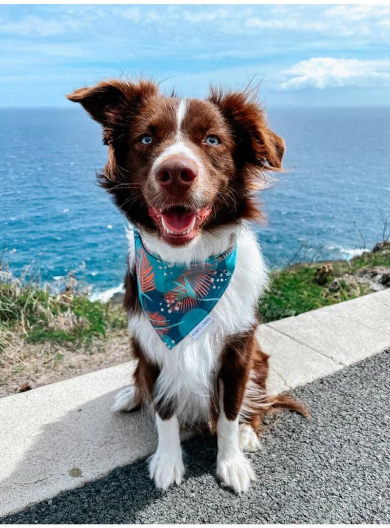 Dog Bandana in Porter