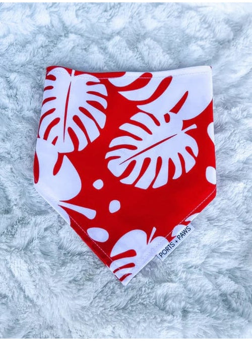 Ports + Paws Pet Dog Bandana in Red Monstera sungkyulgapa